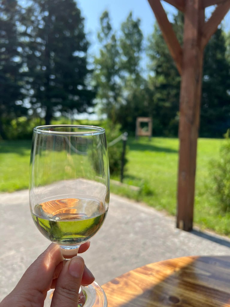 Dégustations et visite libre du vignoble